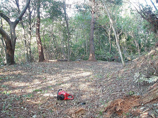 ���R�т̒��ŐX�ї������Ȃ���V�C�^�P��肪�ł���